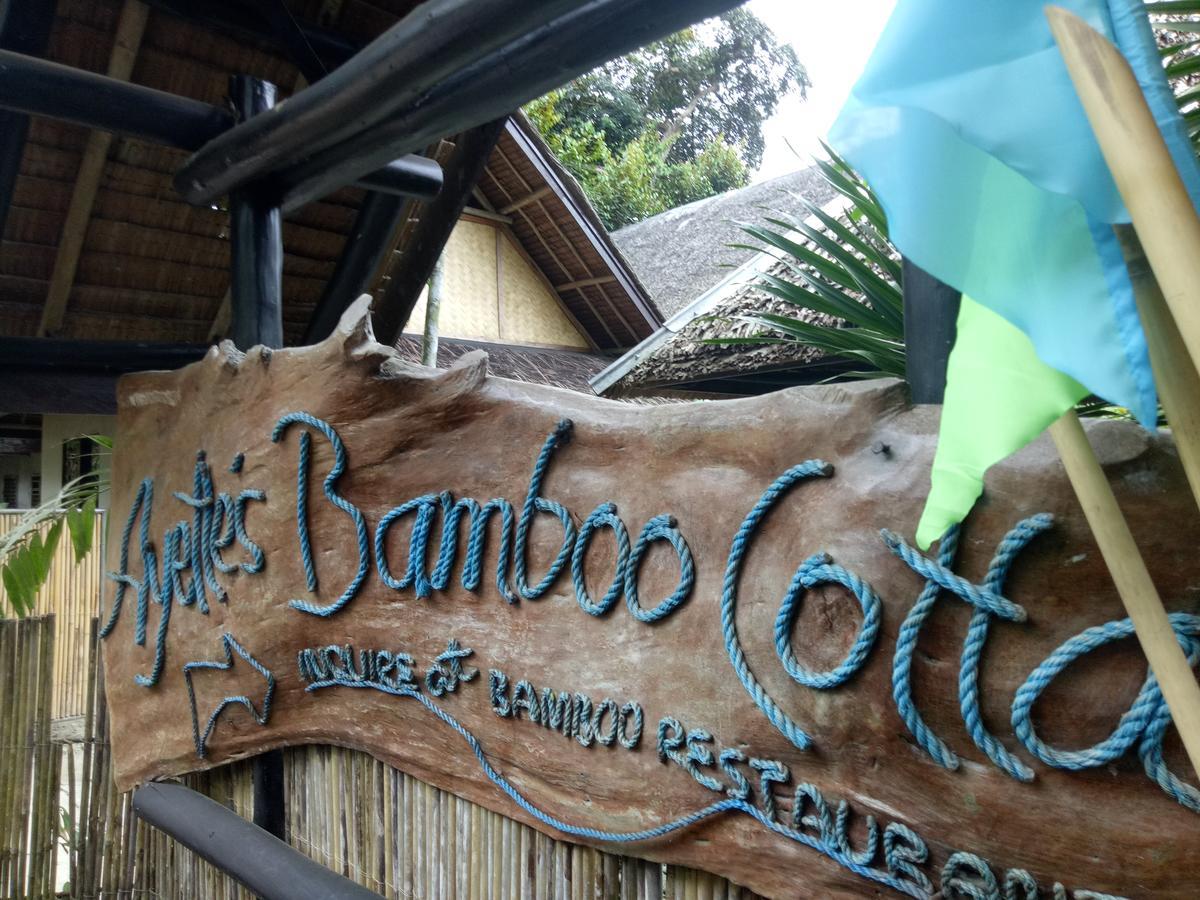 Ayette'S Bamboo House Restaurant And Cottages 圣维森特 外观 照片